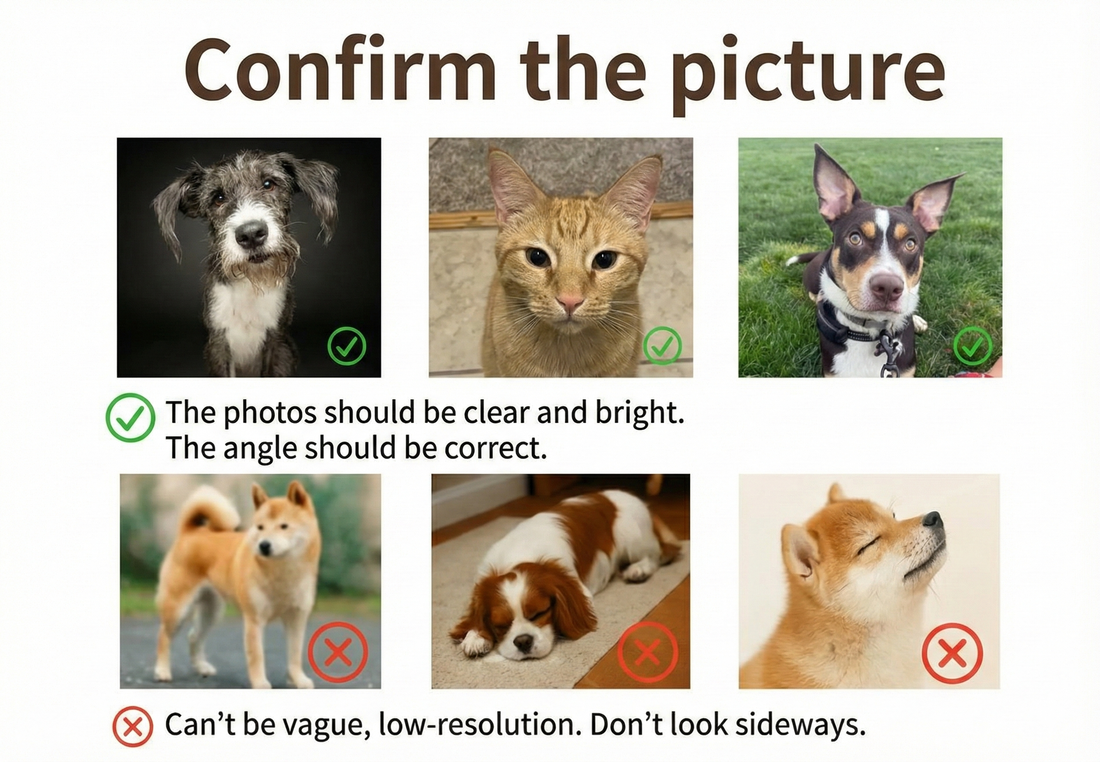 Pet Embroidered Sweatshirt, Custom Pet Face Embroidered Shirt, Custom Pet Embroidered Hoodie, Dog Cat Lover Sweatshirt, Christmas Gift